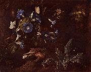 SCHRIECK, Otto Marseus van Blaue Winde, Krote und Insekten painting